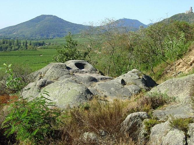 Sentier des Roches à Dieffenthal Dieffenthal Grand Est
