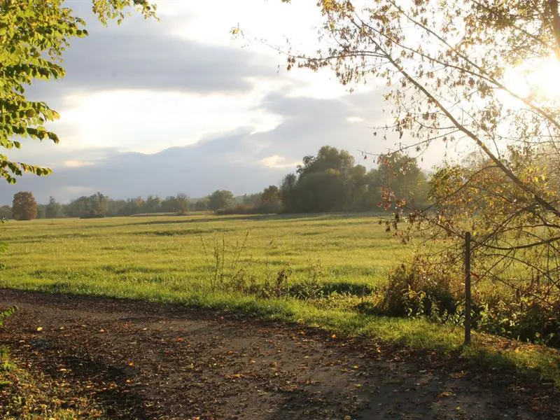 Circuit de la chouette Muttersholtz Grand Est