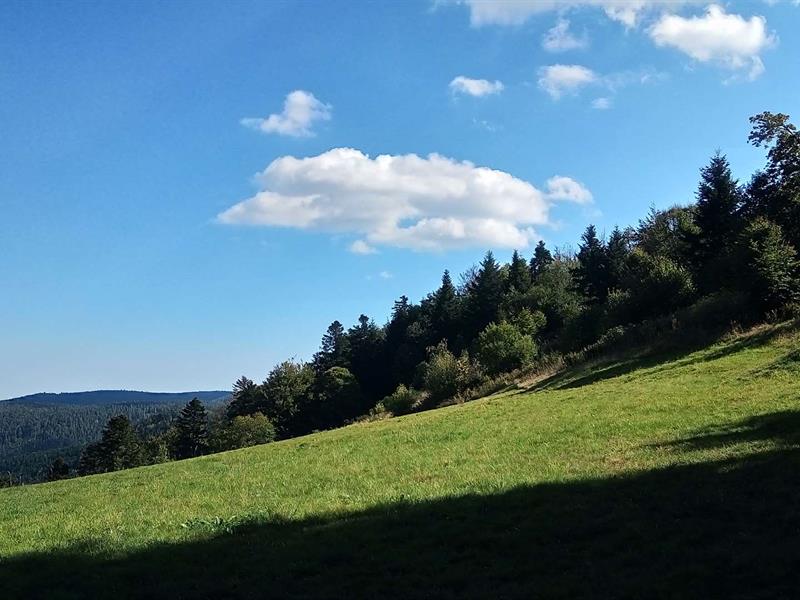 Circuit VTT des 3 cols Villé Grand Est