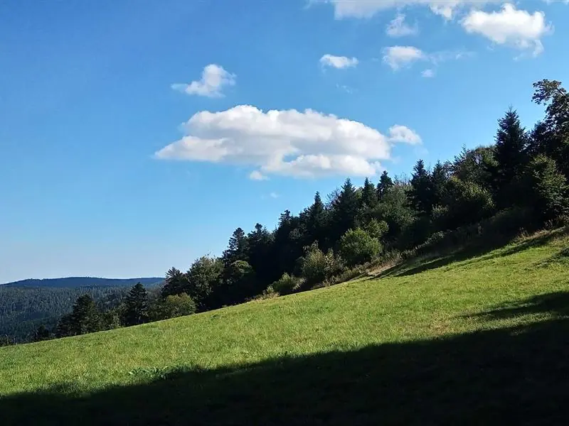 Circuit VTT des 3 cols Villé Grand Est