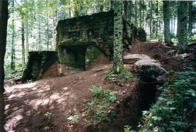 Circuit VTT n°04 Sainte-Marie-aux-Mines Grand Est