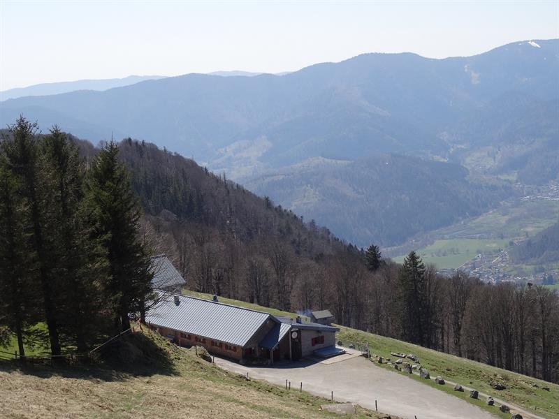 Trail envol vers le Treh et le Markstein Fellering Grand Est