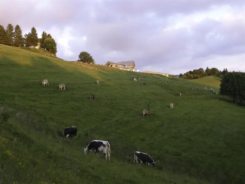 Balade ferme-auberge Treh le domaine de l'envol Linthal Grand Est