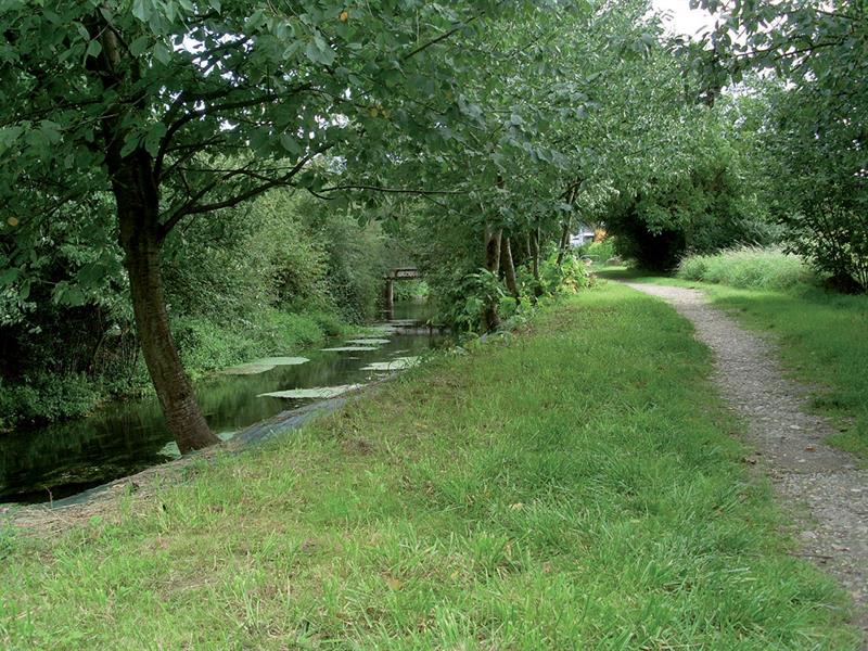 Au fil de l'Ill et du Dollerbaechlein Kingersheim Grand Est