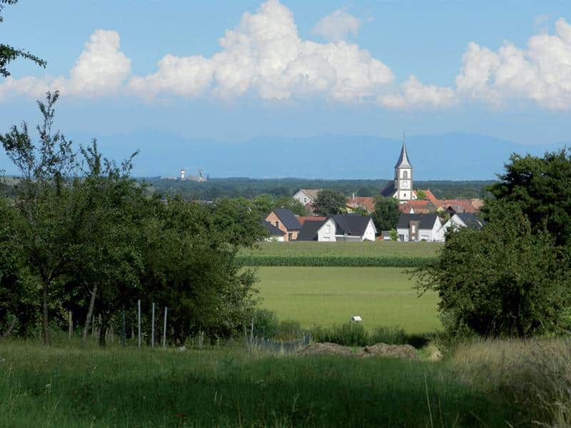 Sur les hauteurs de Berrwiller Hartmannswiller Grand Est