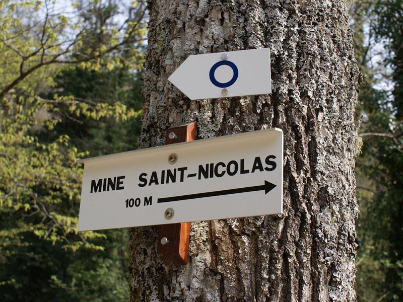 Balade découverte du vallon de Steinbach Steinbach Grand Est