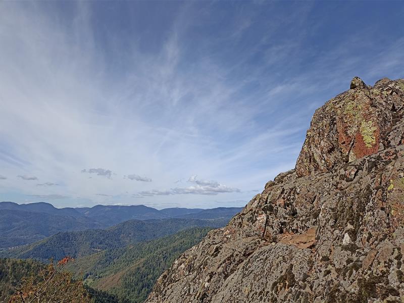 Trail Silberthal Camp Turenne Steinbach Grand Est