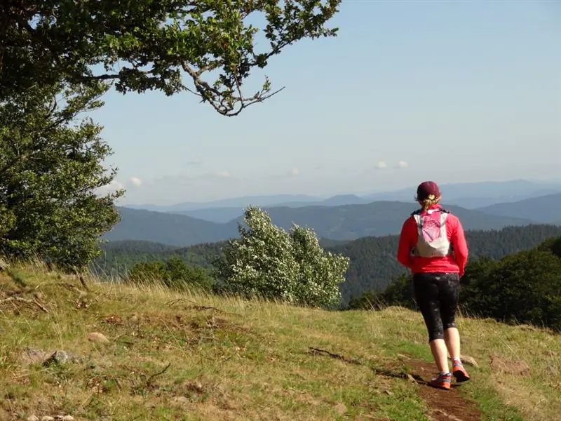 Trail Tour du Molkenrain Wattwiller Grand Est