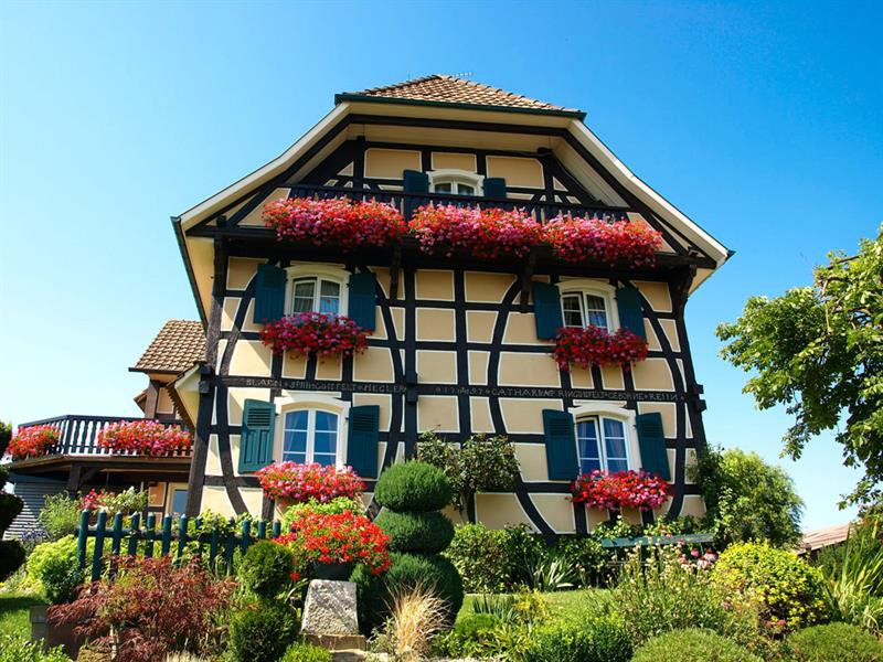 Randonnée pédestre: Bettlach sentier des casemates et la chapelle St-Brice Bettlach Grand Est