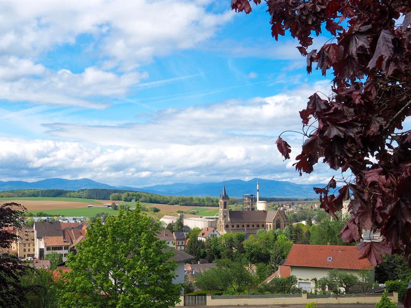 Randonnée pédestre sur les Hauteurs d'Altkirch Altkirch Grand Est