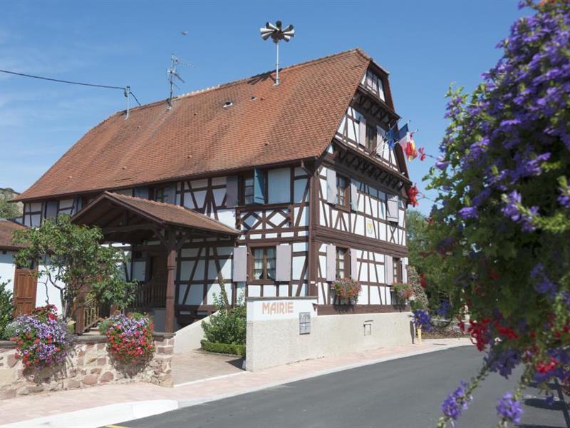 Sentier Autour du ruisseau d'Avenheim Truchtersheim Grand Est