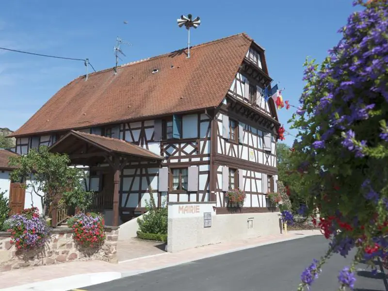 Sentier Autour du ruisseau d'Avenheim Truchtersheim Grand Est