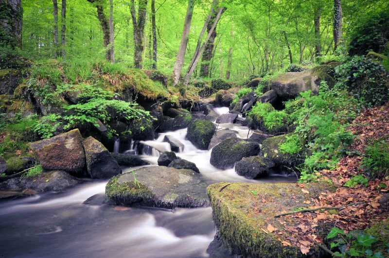 Les cascades du Pont ès Retours Vire Normandie Normandie