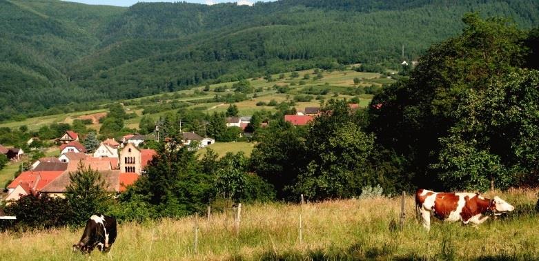 Le sentier des sols Osenbach Grand Est