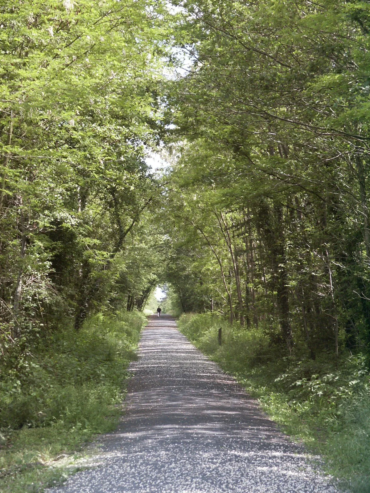 La Ligne Verte Châtellerault Nouvelle-Aquitaine