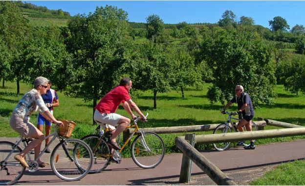 Piste cyclable Odratzheim / Westhoffen Odratzheim Grand Est