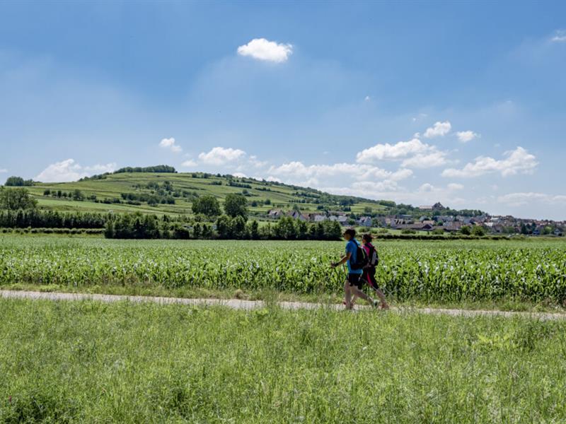 Piste cyclable Flexbourg / Soultz-les-bains Flexbourg Grand Est