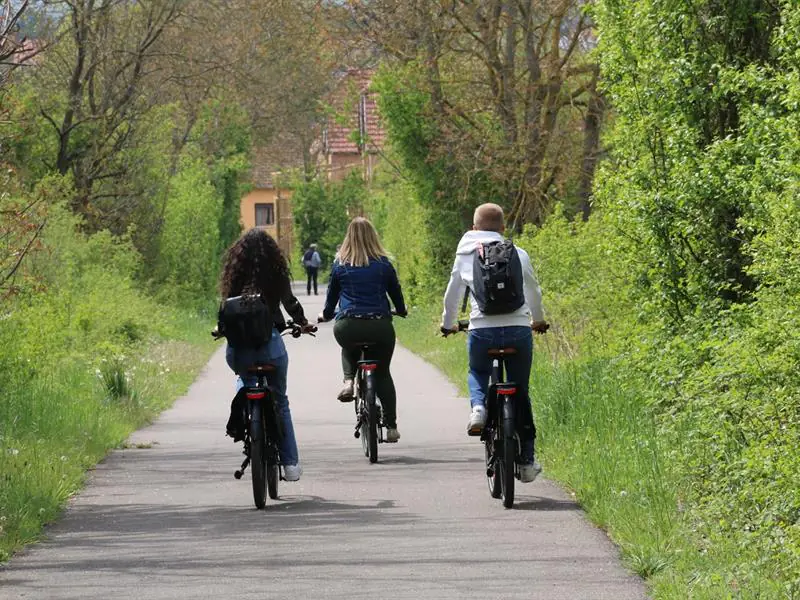 Circuit vélo Au cœur du Piémont Rosheim Grand Est