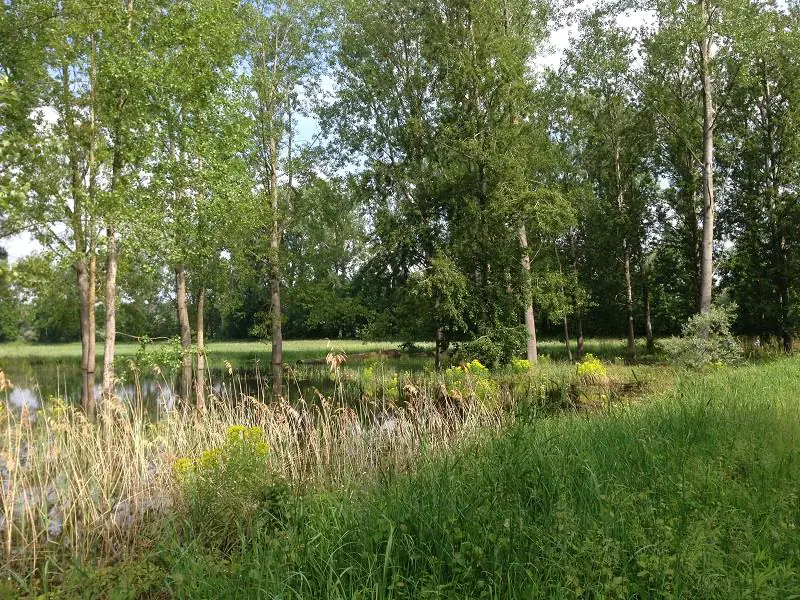 Sentier d'interprétation L'homme et le Rhin