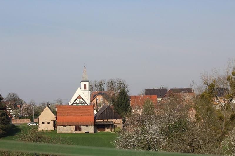 Sentier pédestre Circuit Panoramique Eberbach-Seltz Grand Est