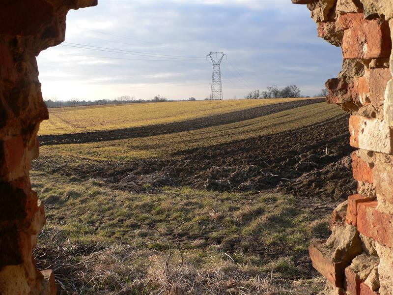 Circuit découverte Les collines de Loess Weitbruch Grand Est