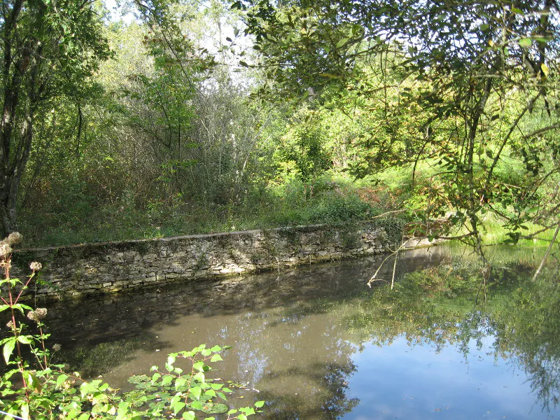 Coup de coeur du centre équestre de Sardin Rouffignac-Saint-Cernin-de-Reilhac Nouvelle-Aquitaine