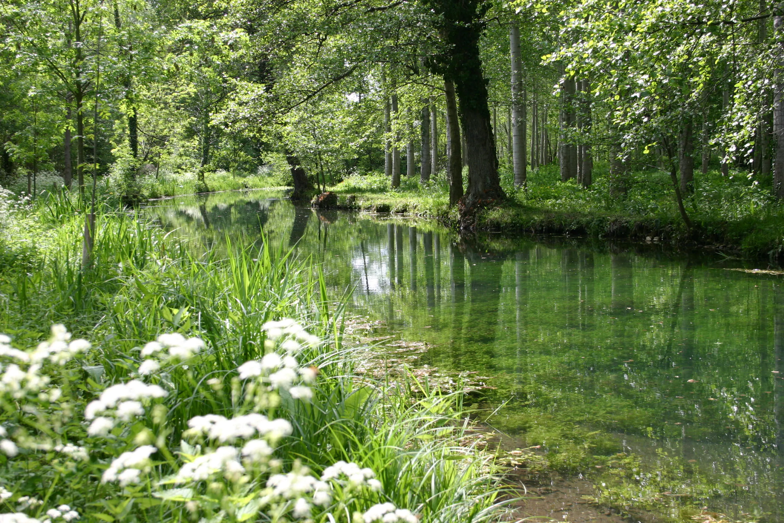 La Sente Divine La Grimaudière Nouvelle-Aquitaine