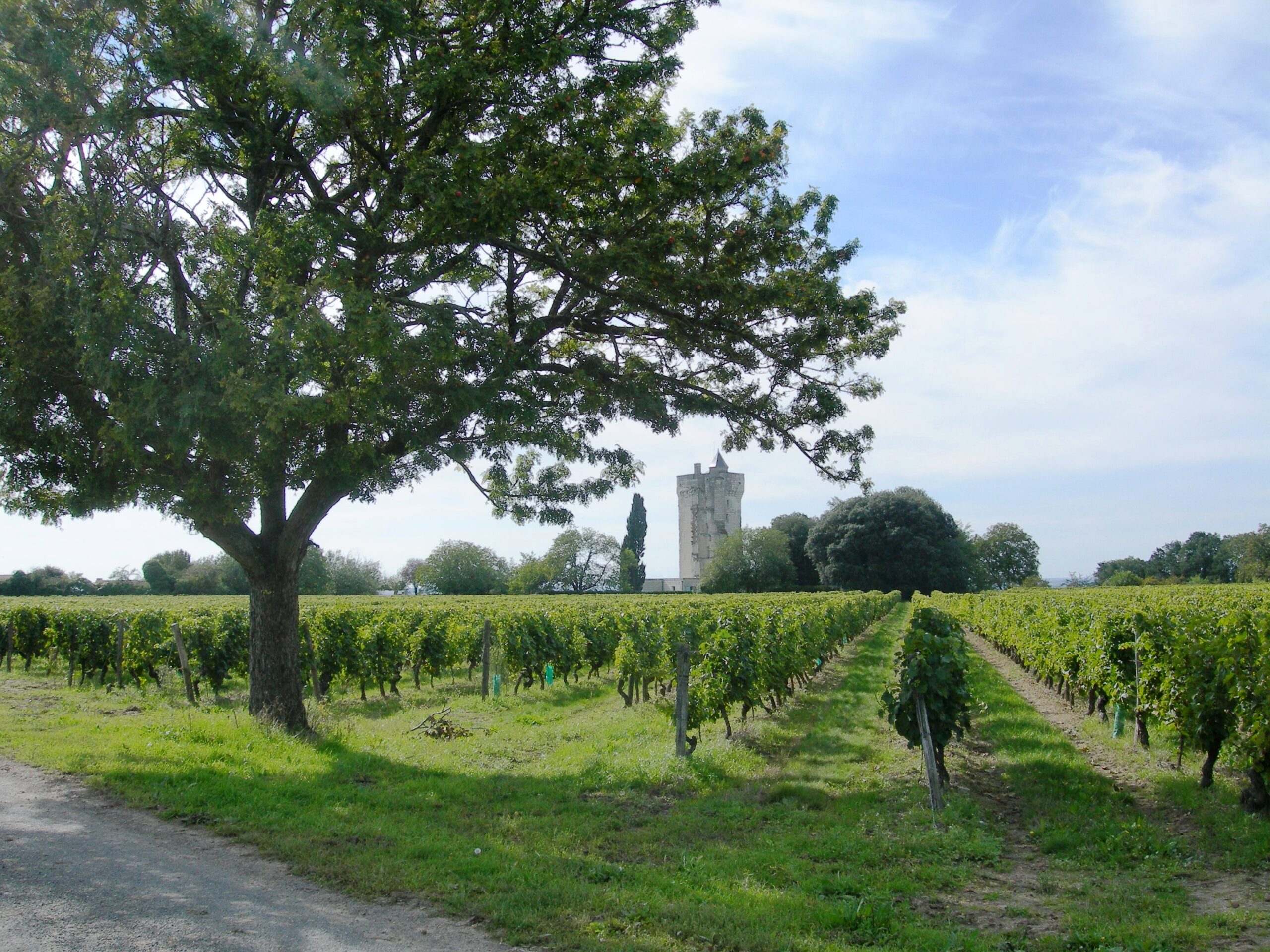 Le Sentier de la Reine Blanche Ranton Nouvelle-Aquitaine