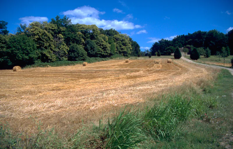 Au Coeur de la Bouriane Milhac Occitanie