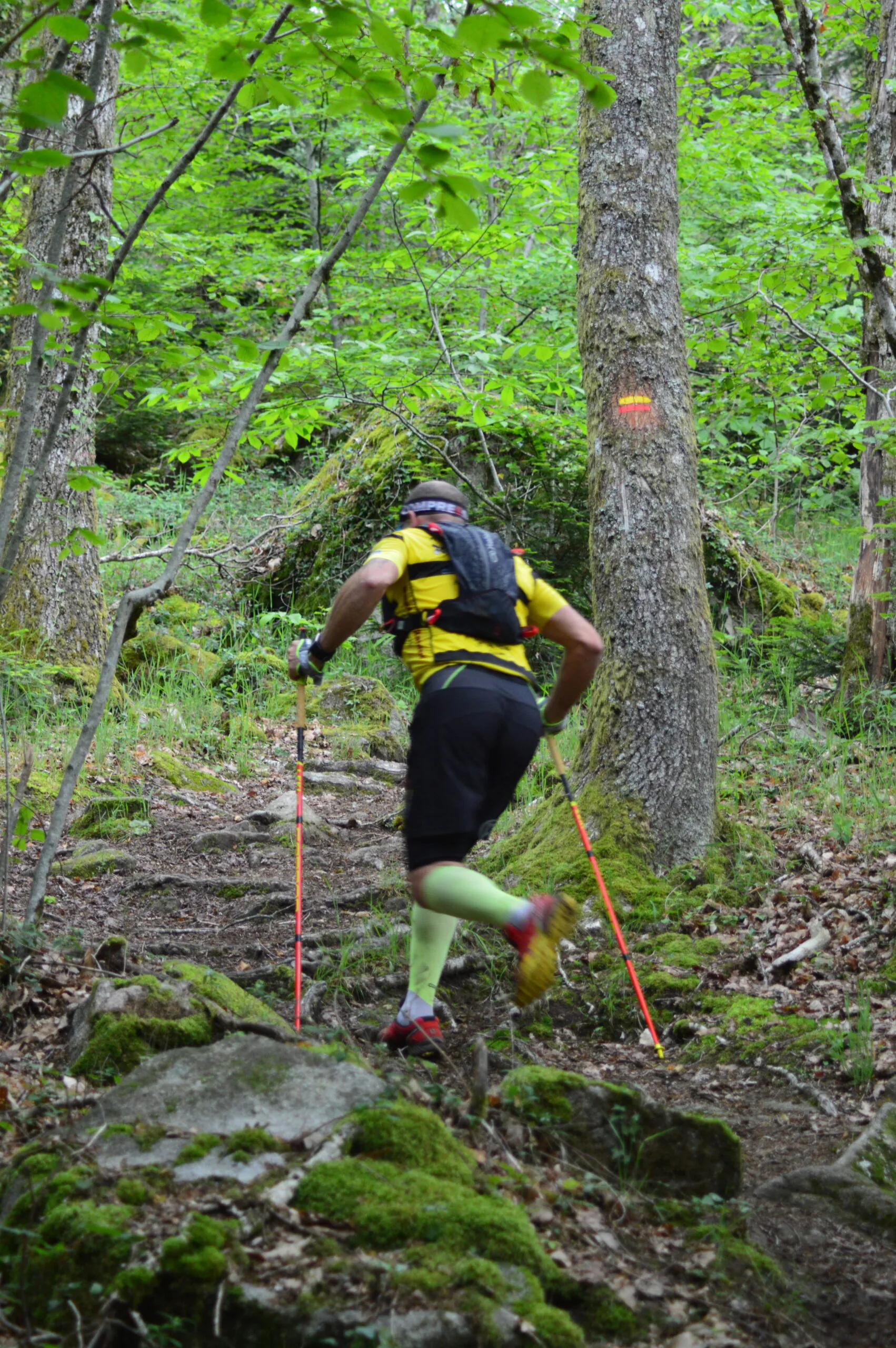 Circuit Trail n°7 les bois de Sainte Feyre Sainte-Feyre Nouvelle-Aquitaine