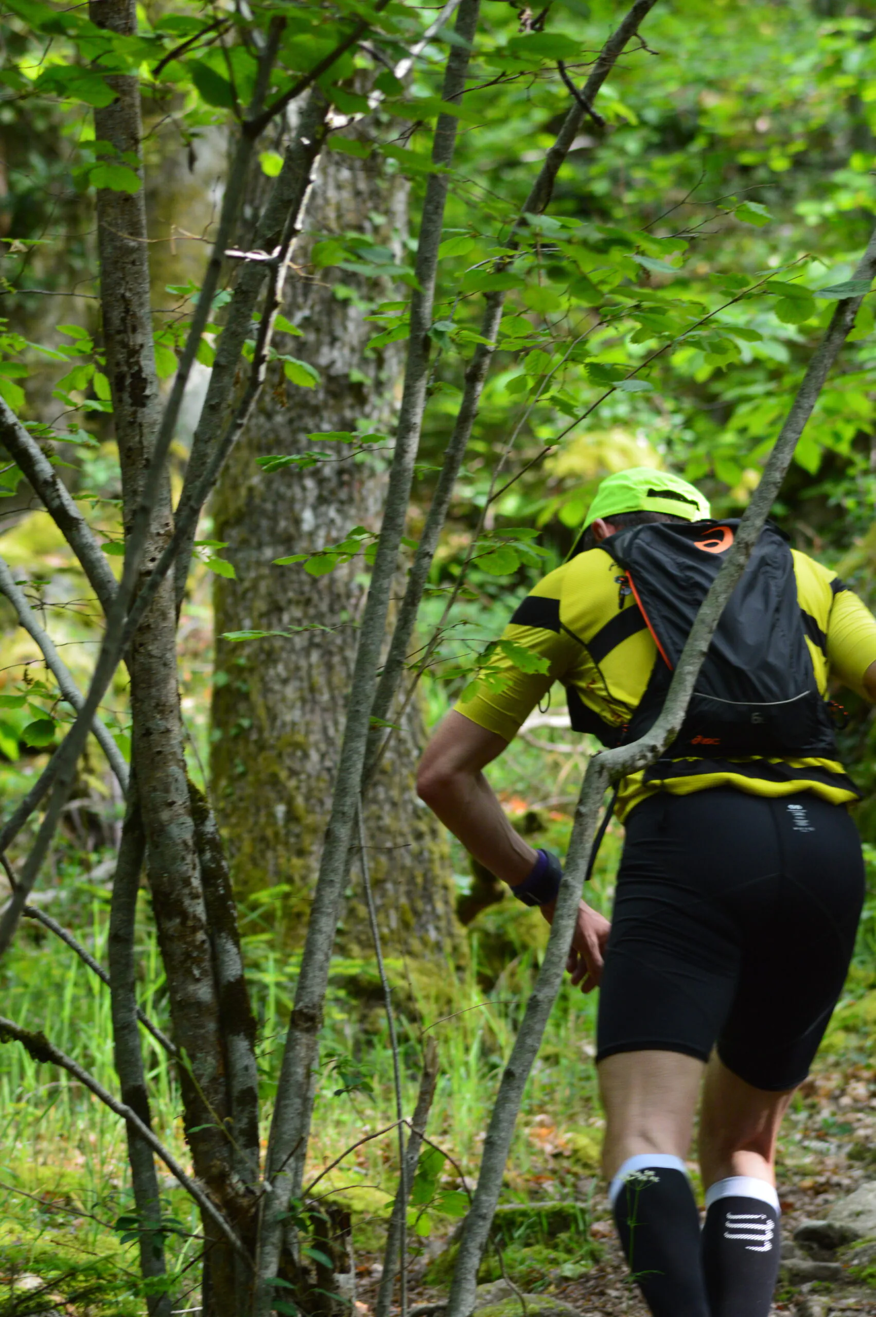 Circuit Trail n°9 des carrières au Parc Animalier Sainte-Feyre Nouvelle-Aquitaine