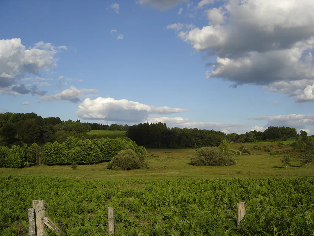 RANDO "Landes et Tourbières" Gioux Nouvelle-Aquitaine