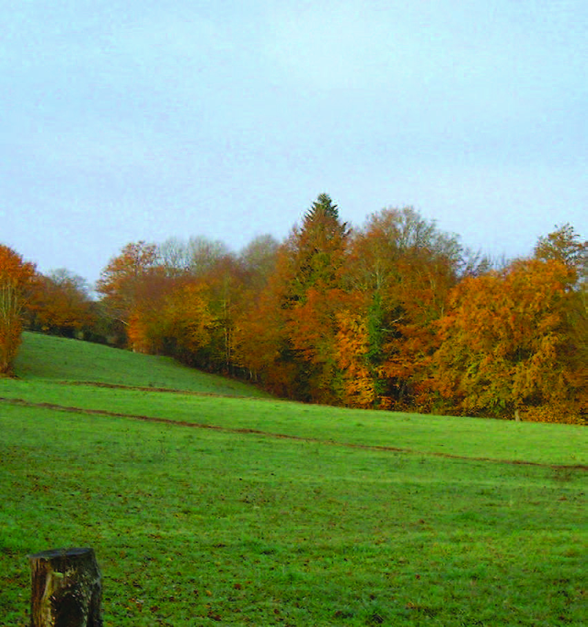 Circuit pédestre La Brande MF1 Maison-Feyne Nouvelle-Aquitaine