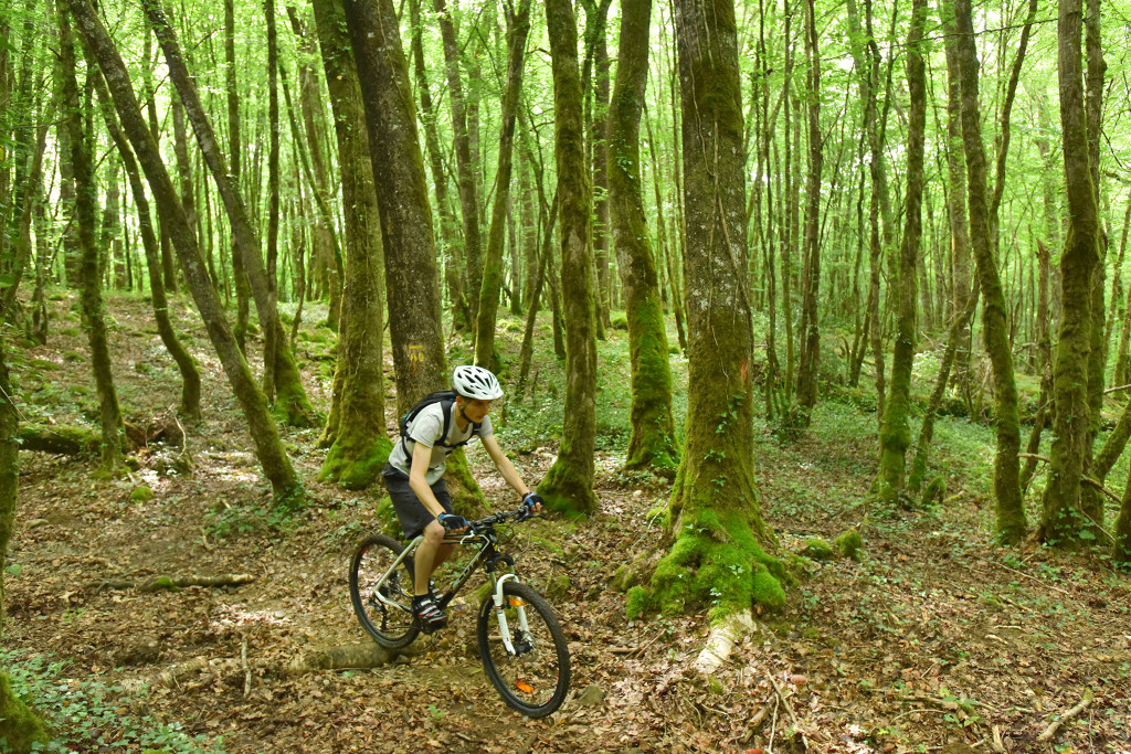 Circuit VTT n°23 Aux alentours de l'étang de la Chaume Azerables Nouvelle-Aquitaine