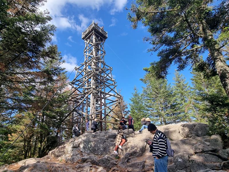 Circuit vtt n°10 (rouge) Saut de la bourrique Tour de Mérelle Gérardmer Grand Est