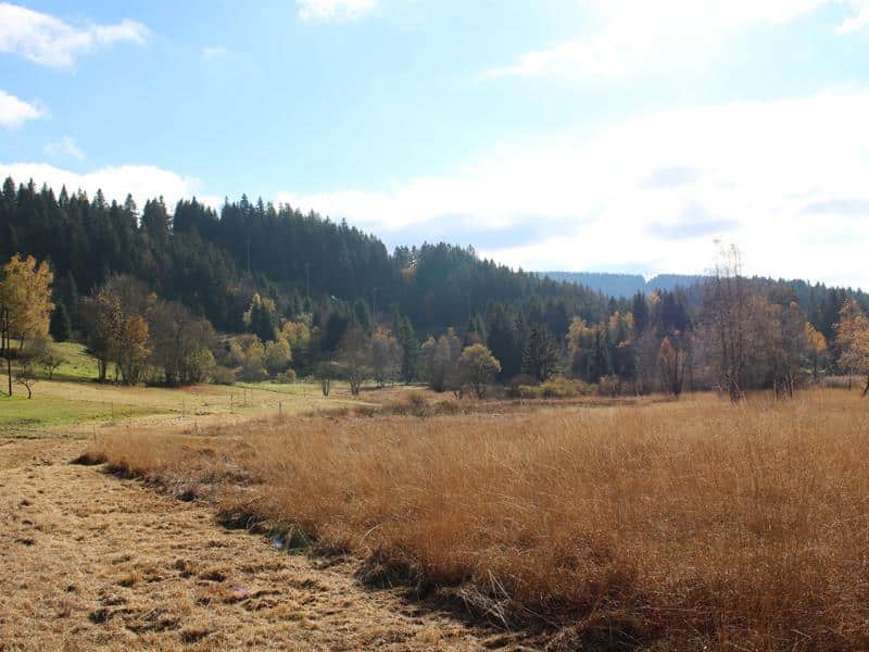 Sentier familial Valabaru Gérardmer Grand Est