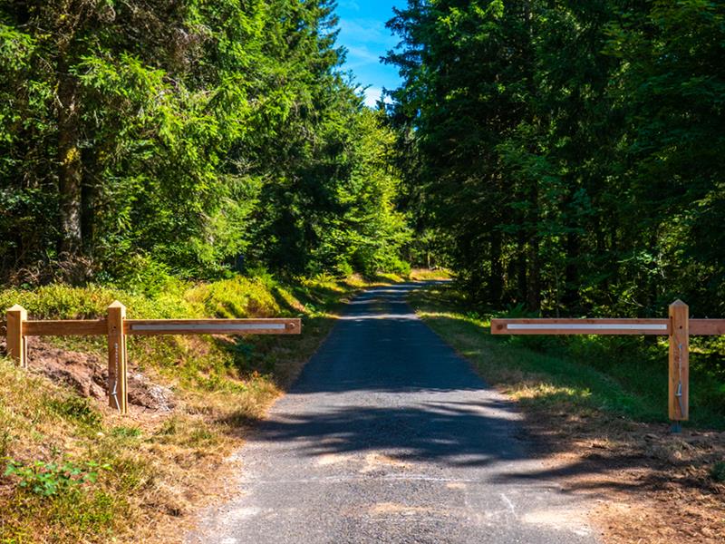La voie douce et piétonne du Cerceneux Marion Gérardmer Grand Est