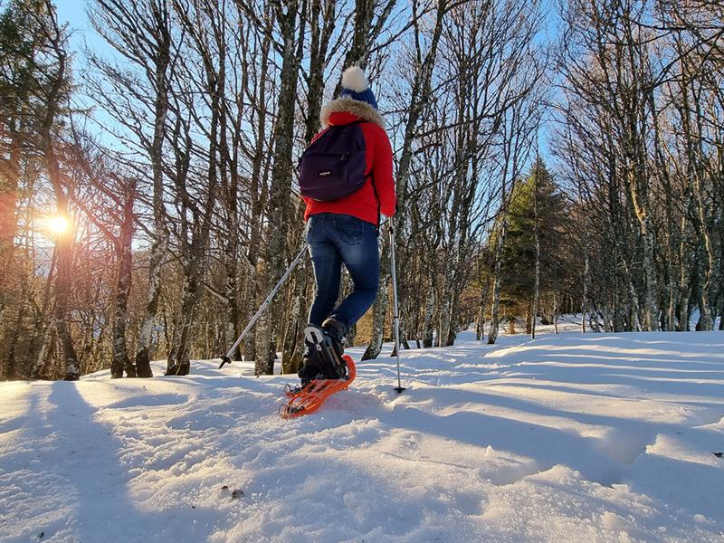 Itinéraire raquettes La Frayée (5) Gérardmer Grand Est