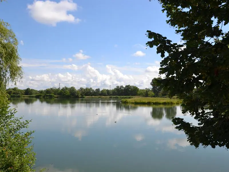 CIRCUIT ENTRE VIGNES ET CLOCHERS Charmes Grand Est