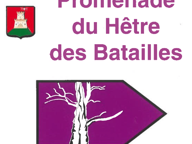 Promenade du Hêtre des batailles Châtel-Saint-Germain Grand Est