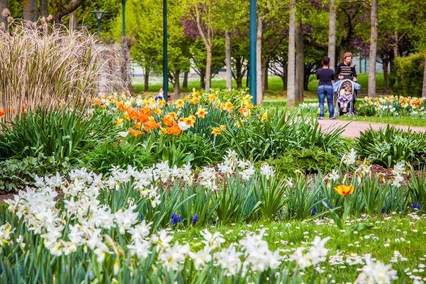 Sentier de découverte du Beerenweg Thionville Grand Est