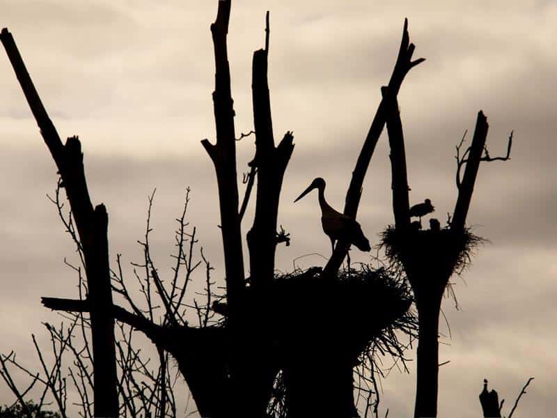 Boucle du Hostert Thionville Grand Est