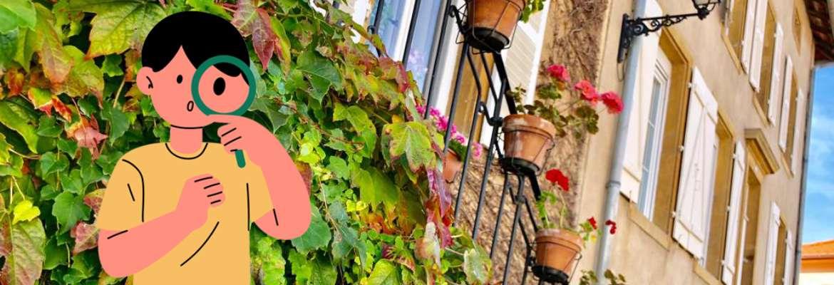 Théodon sur les traces des vignerons Thionville Grand Est