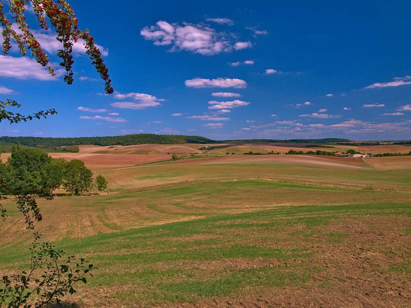 CIRCUIT VÉLO DE LINDRE ET DU SEL Dieuze Grand Est