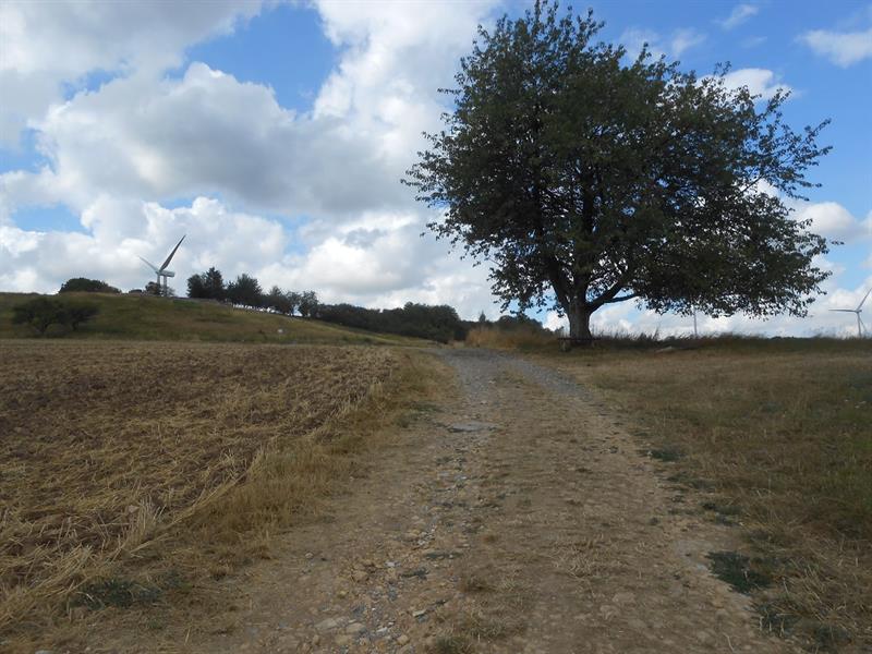 LES ÉNERGIES D'HIER ET D'AUJOURD'HUI Saint-Avold Grand Est