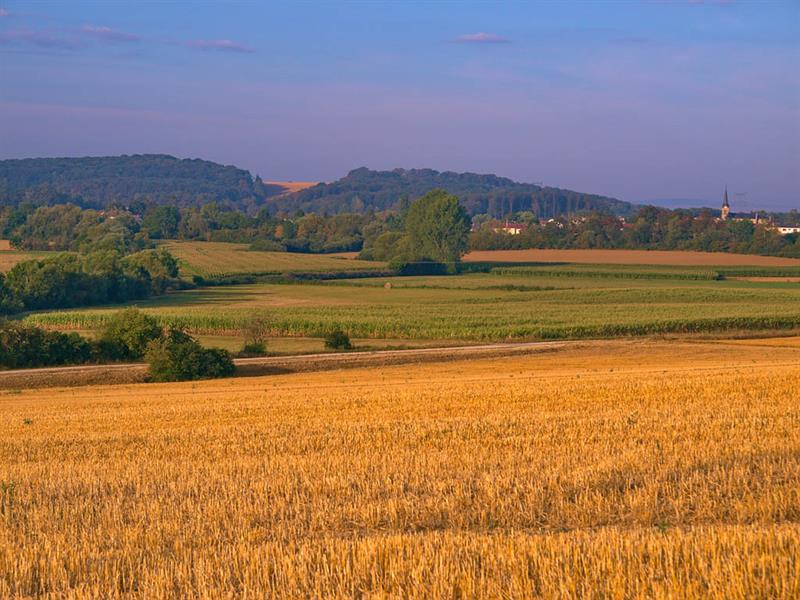 Voie verte du pays de Pange Courcelles-sur-Nied Grand Est Voie verte du pays de Pange Courcelles-sur-Nied Grand Est