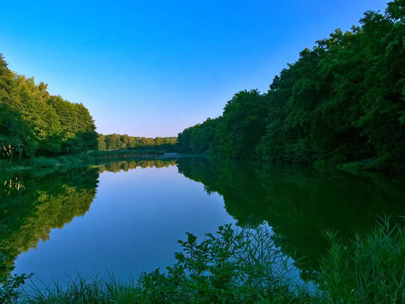 ODERFANG PORCELETTE CREUTZWALD Saint-Avold Grand Est