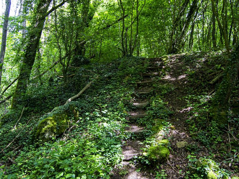 Circuit des collines Montenach Grand Est