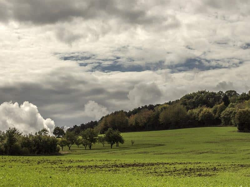 Balade entre bois et jardins Hargarten-aux-Mines Grand Est