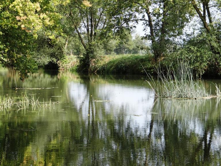 Circuit Nied sans frontière Guerstling Grand Est